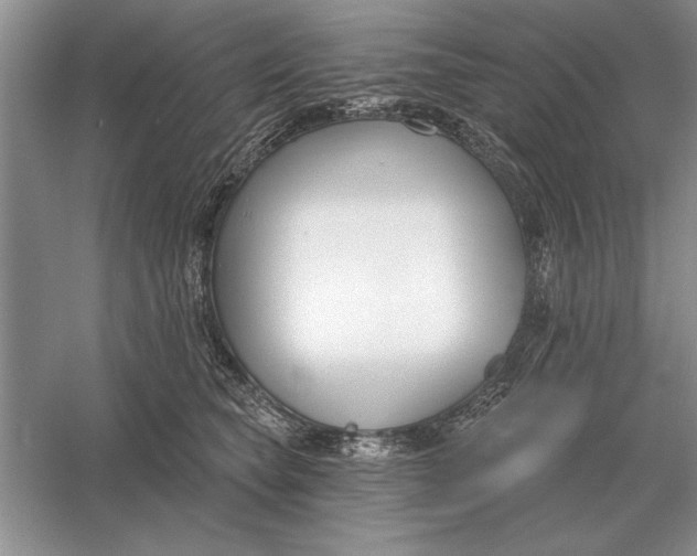 X0000056010565200509092115