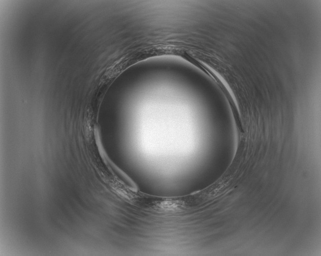 X0000056010566200509092115