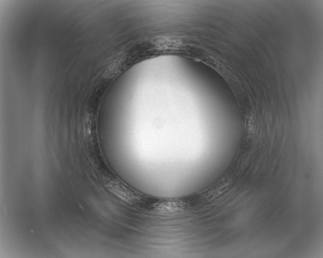 X0000056010567200509092115
