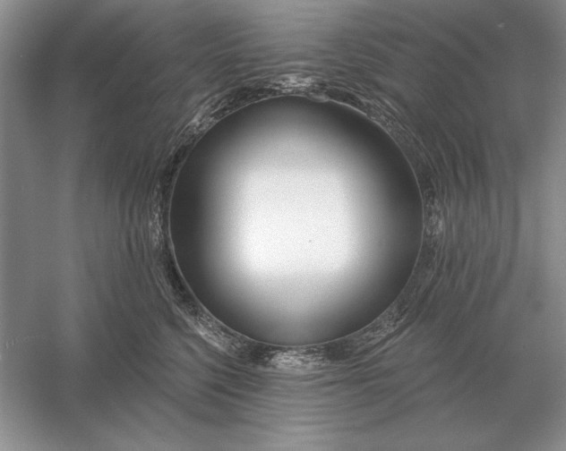 X0000056010568200509092115