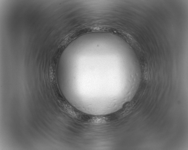 X0000056010569200509092115