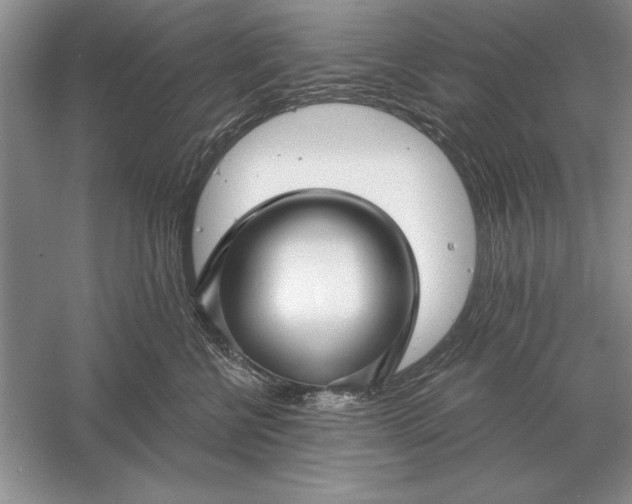 X0000056010570200509092115