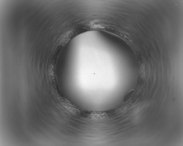 X0000056010571200509092115