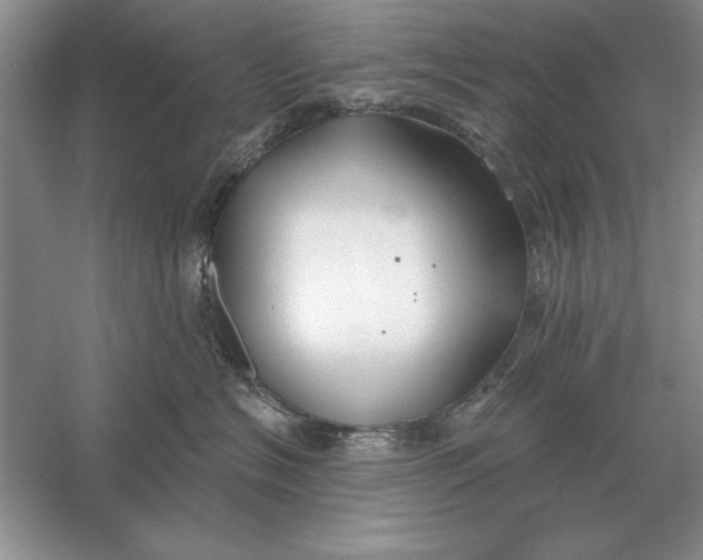 X0000056010574200509092115