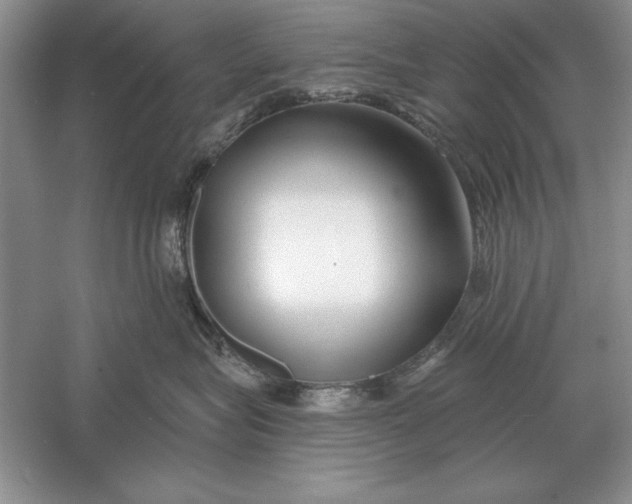 X0000056010575200509092115