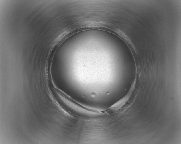 X0000056010581200509092114
