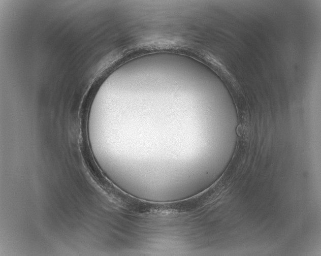 X0000056010582200509092114