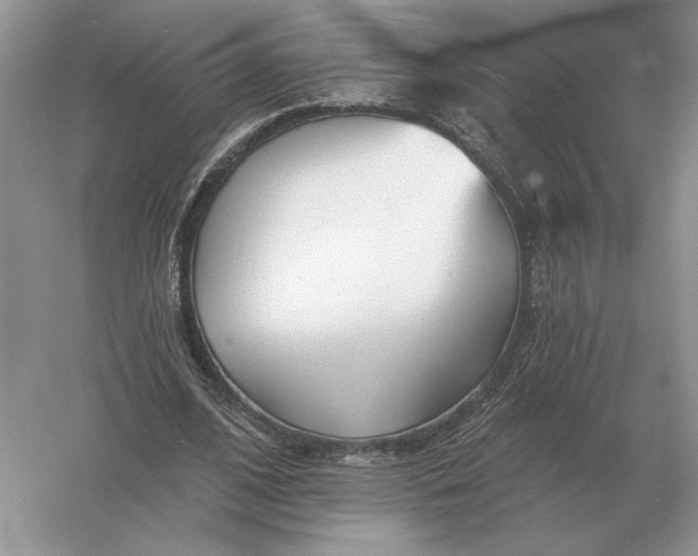 X0000056010584200509092114