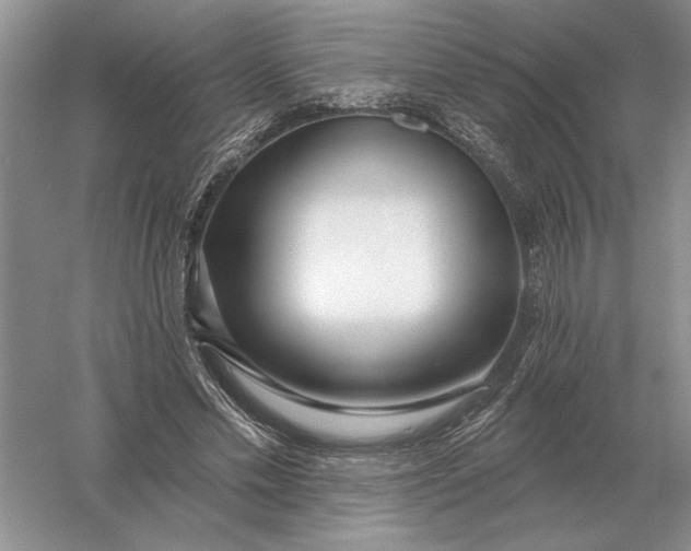 X0000056010589200509092114