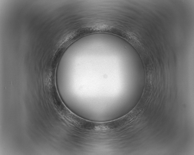 X0000056010591200509092114