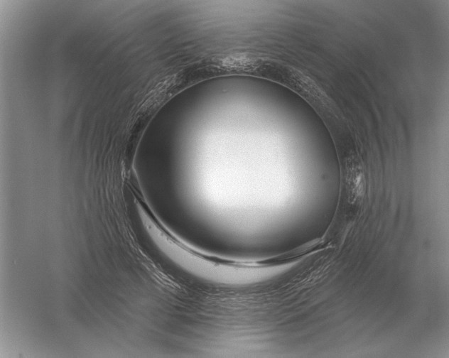 X0000056010593200509092114