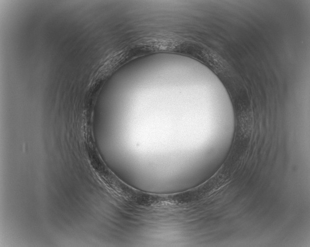 X0000056010594200509092114