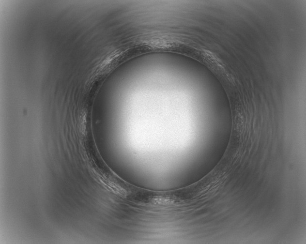 X0000056010596200509092114