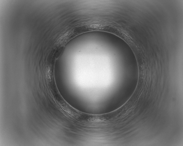 X0000056010597200509092114