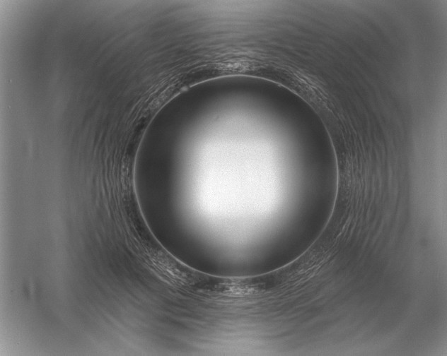 X0000056010601200509092114