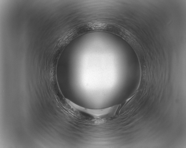X0000056010604200509092114