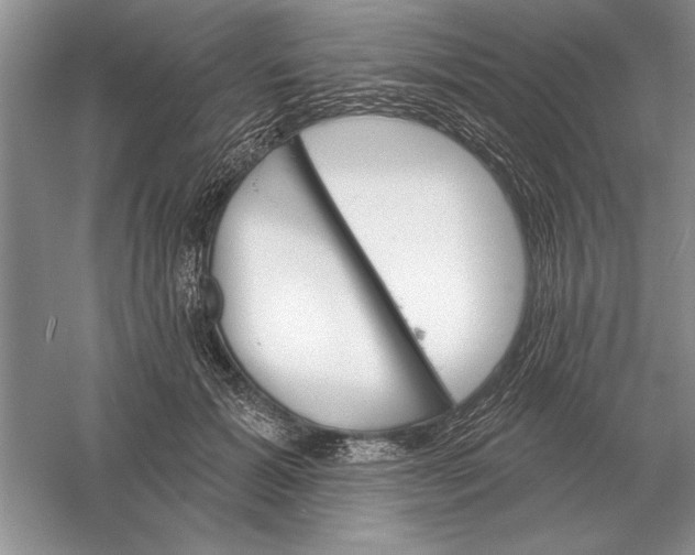 X0000056010605200509092114