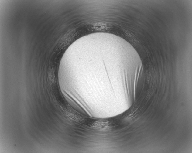X0000056010606200509092114