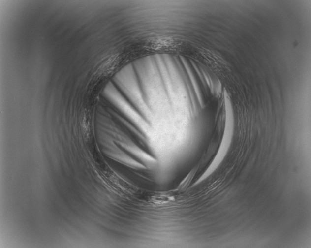 X0000056010607200509092114