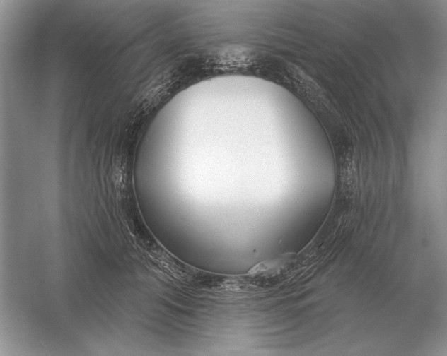 X0000056010608200509092114