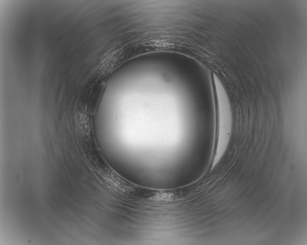 X0000056010609200509092114
