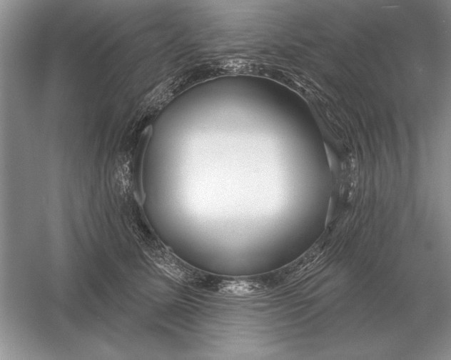 X0000056010611200509092114