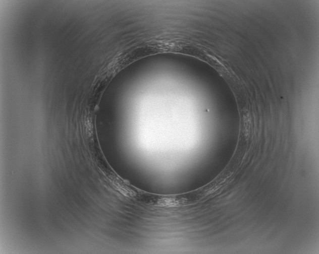X0000056010613200509092114