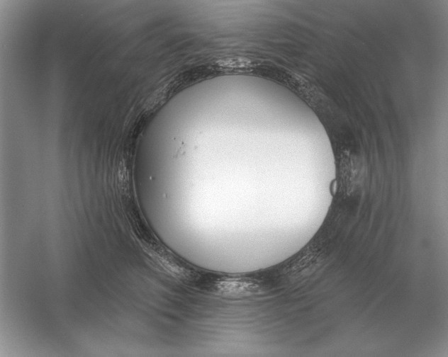 X0000056010614200509092114