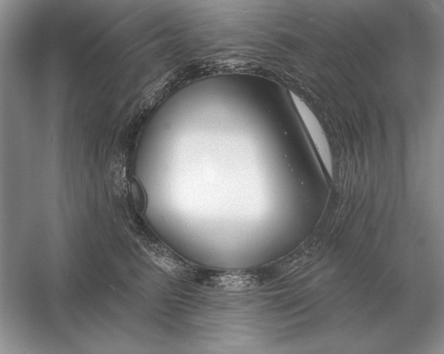 X0000056010615200509092114