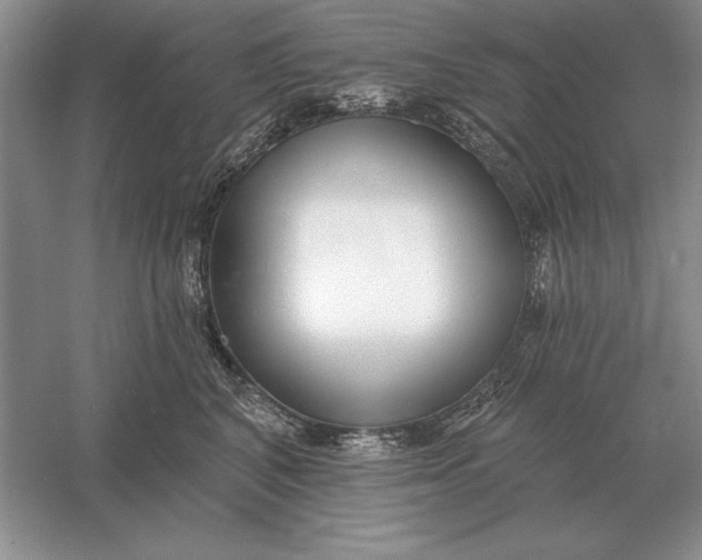 X0000056010616200509092114