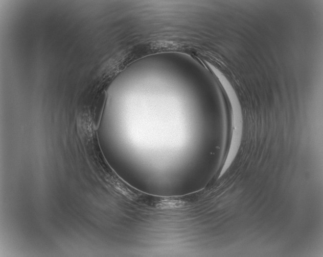 X0000056010617200509092114