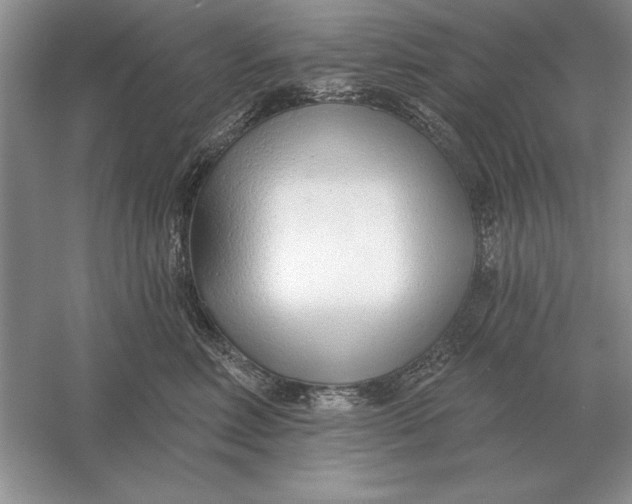 X0000056010618200509092114