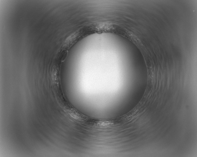 X0000056010619200509092114