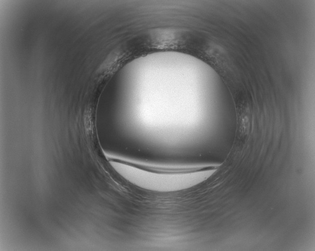 X0000056010620200509092113
