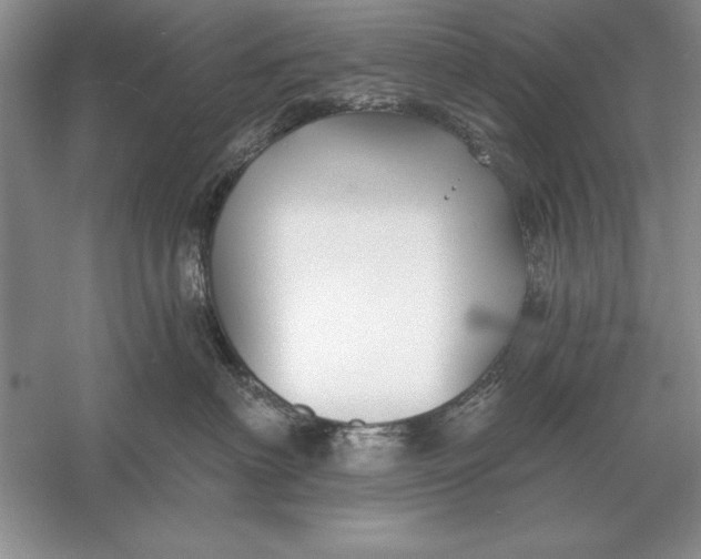X0000056010622200509092113