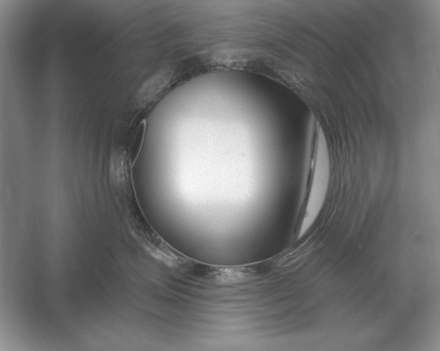 X0000056010623200509092113