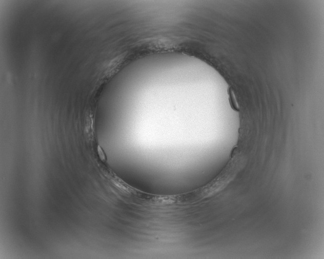 X0000056010624200509092113
