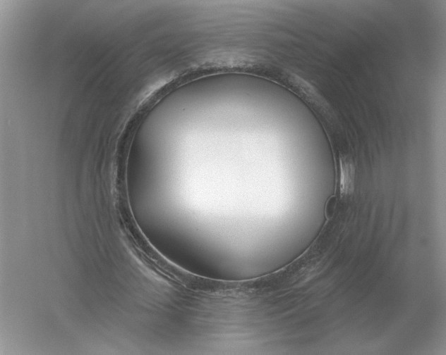 X0000056010627200509092113