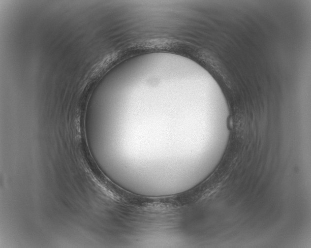 X0000056010633200509092113