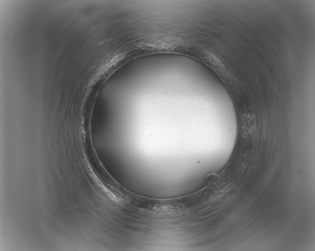 X0000056010634200509092113