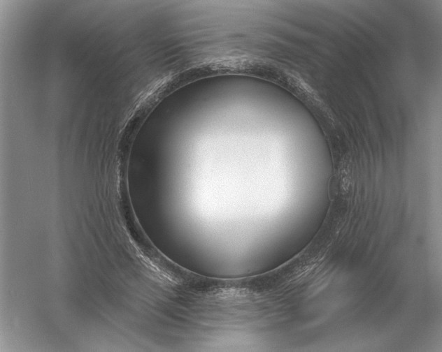X0000056010637200509092113