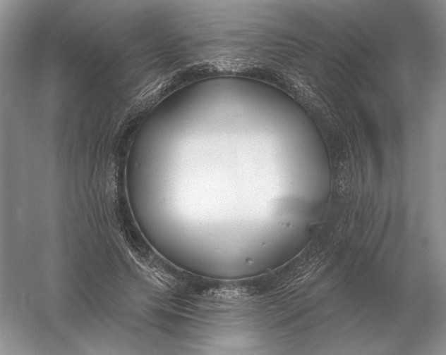 X0000056010639200509092113