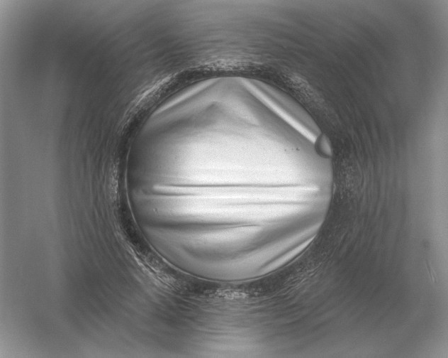 X0000056010640200509092113