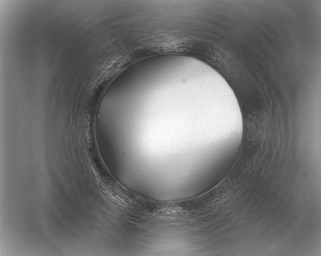 X0000056010642200509092113