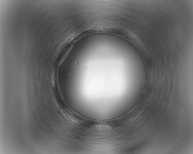 X0000056010644200509092113