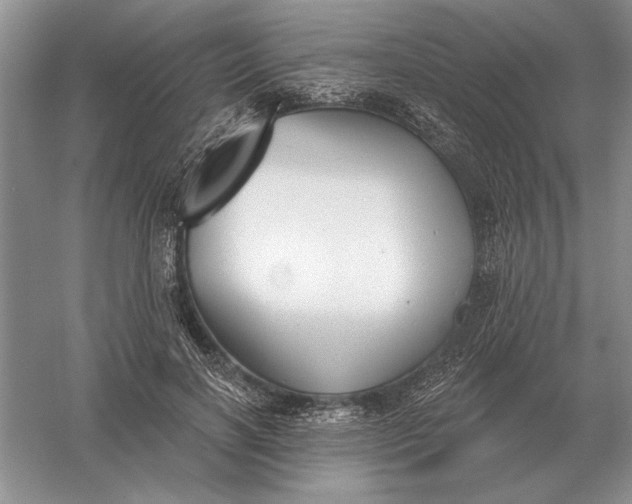 X0000056010646200509092113