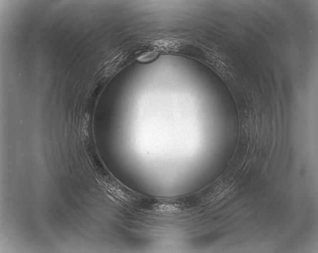 X0000056010649200509092113
