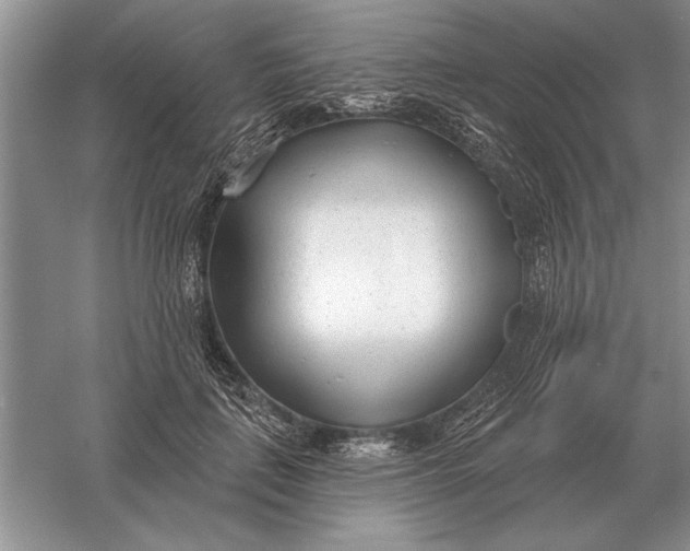 X0000056010651200509092113