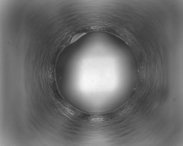 X0000056010653200509092113