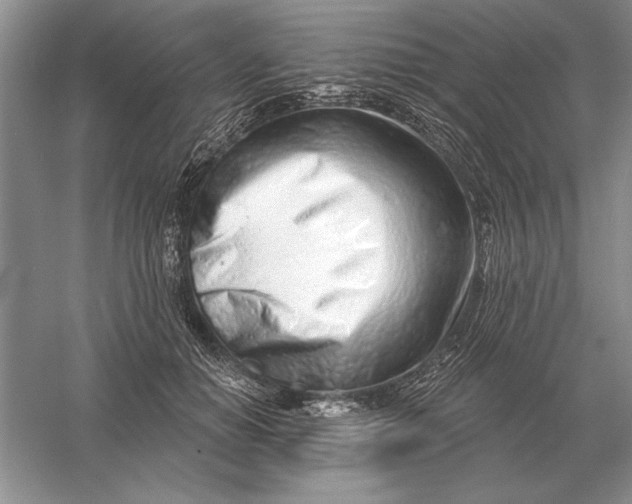 X0000056010654200509092113